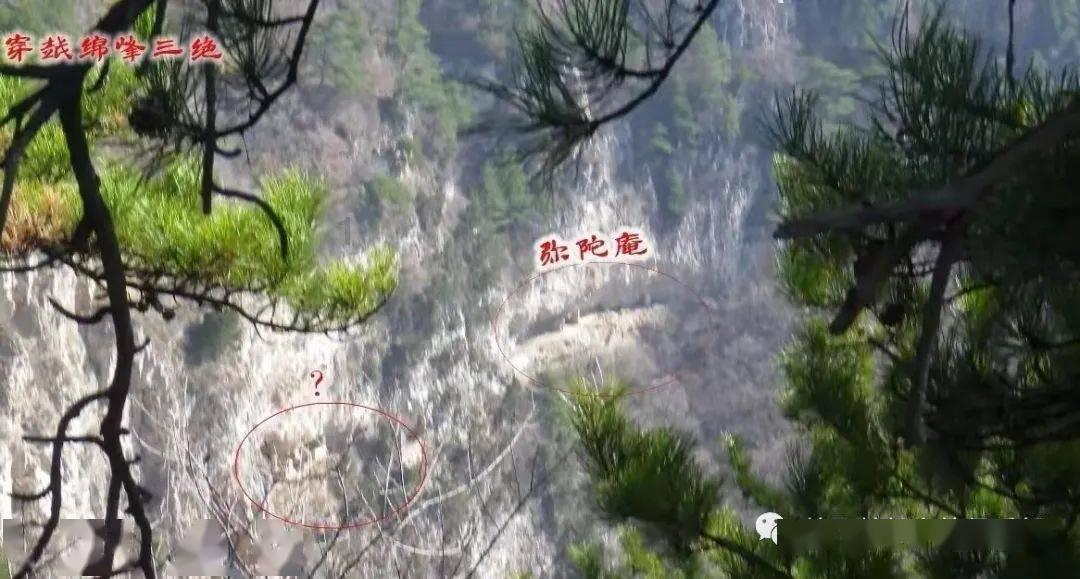 律师是怎么收取律师费游戏画面