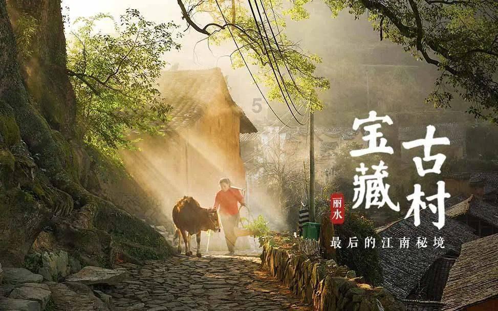 蜂王救援