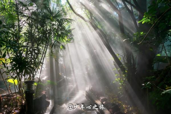 为群众安全健身保驾护航！苏州工业园区娄葑街道健身设备换新颜，助力居住品质大提升