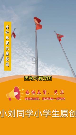 可怜猫的救援