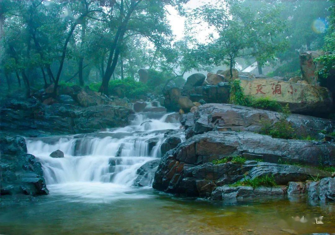 新春走基层·黄土地上的“大食物”∣一只羊的科技含量
