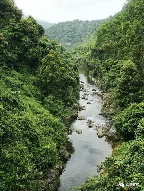 最新实景无人自动直播软件：降低成本，场景丰富，效率事半功倍！