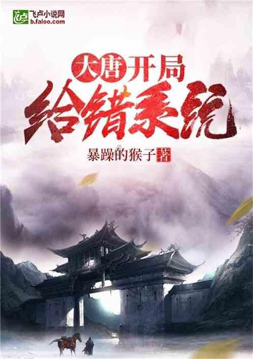 孤独的流浪者救援