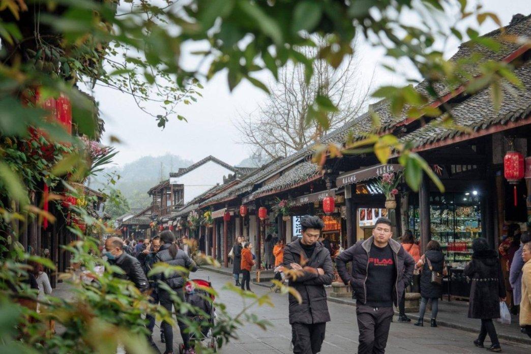 植物大战僵尸12