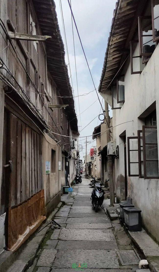 动物帮帮忙保卫家园